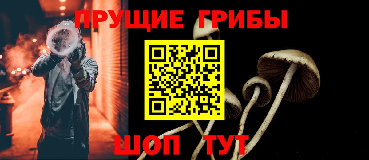 Псилоцибиновые грибы Psilocybine cubensis  Вход с VPN  Клинцы  Галлюциногенные грибы ЛСД 