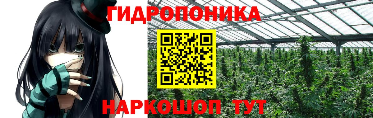 Конопля SATIVA & INDICA Клинцы